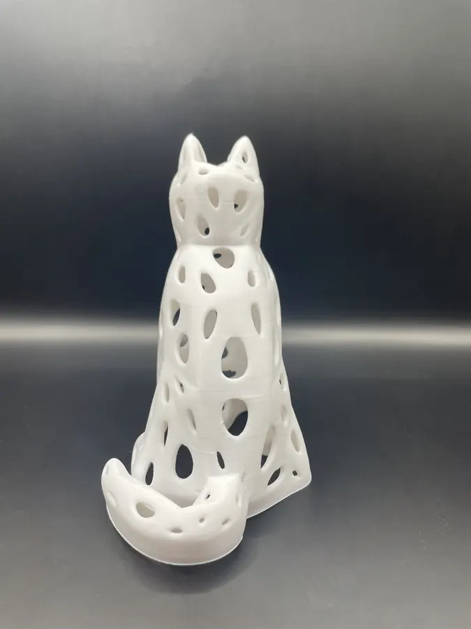 Mise en scène de Chat moderne