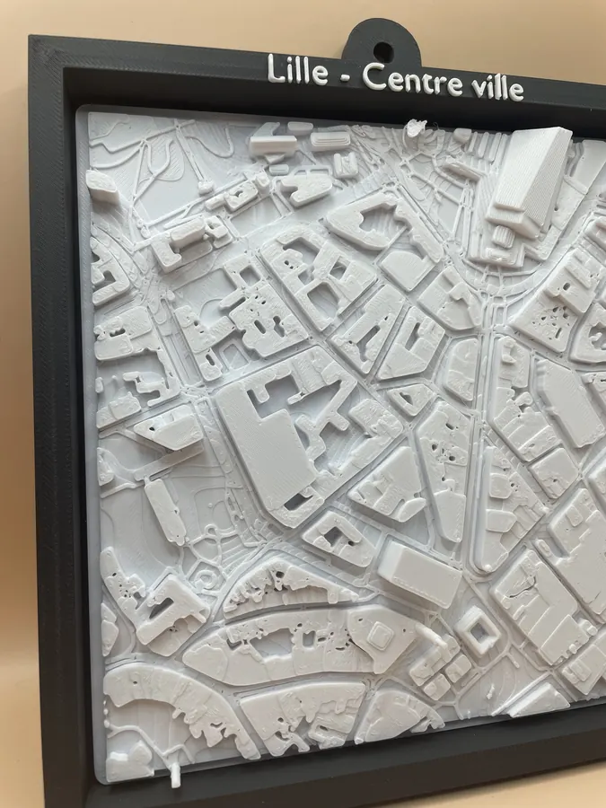 Carte 3D personnalisée — vue aérienne en relief du centre-ville de Lille, reliefs des bâtiments en blanc sur fond neutre.