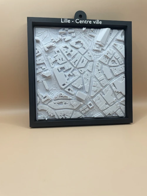 Carte 3D personnalisée — vue aérienne en relief du centre-ville de Lille, reliefs des bâtiments en blanc sur fond neutre.