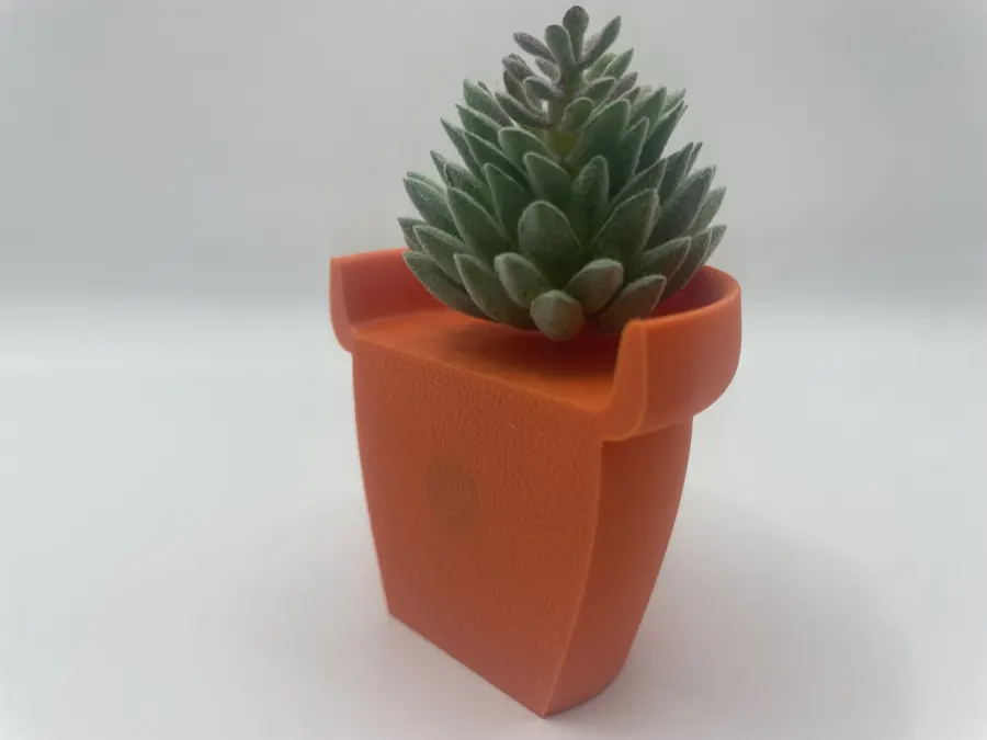 Mise en scène de Succulentes magnétiques